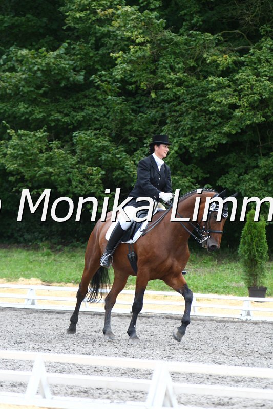 009M5092_Wega Cassini_Dressur Mxx.JPG